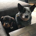 Profile Picture of Craig Kavanagh (@kavanagh311) on Instagram