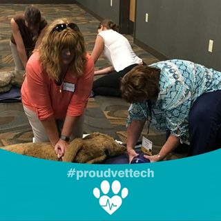 Marianne Allsop Dosmann - Facebook Profile Picture of Marianne Allsop Dosmann (@marianne.allsopdosmann) on Facebook