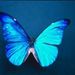 Profile Picture of Kenya Thomas-Beecher (@kenyalt) on Pinterest