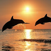 Profile Picture of Aaliyah Lucas (@aaliyahlucas769) on Youtube