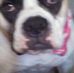 Profile Picture of Lori Delaney (@lori.delaney.393) on Facebook