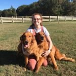 Profile Picture of Hailey Craig (@olagirl151) on Instagram