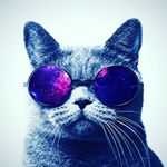 Profile Picture of Thomas Burns (@thomasburns882) on Instagram