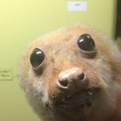 Profile Picture of Spencer Marsden (@Spencermarsden) on Twitter