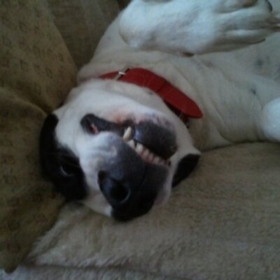 Profile Picture of Andrew Readman (@AndrewReadman) on Twitter