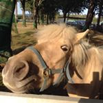 小杉 翔也 - Instagram Profile Picture of 小杉 翔也 (@kosgi_shokosu) on Instagram