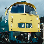 Profile Picture of Steve Thomas (@st33017) on Flickr