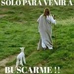 Profile Picture of Manuel Martín Matamoros (@manuelmartinmatamoros) on Instagram