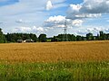 Profile Picture of Kazimierowo, Podlaskie Voivodeshipon Wikipedia