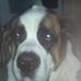 Profile Picture of Donna Loos (@donna.loos.18) on Facebook