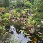 Profile Picture of Joel L Hilles Pondscapes, LLC (@jlhpondscapesllc) on Instagram
