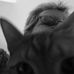 Profile Picture of Velvet Fackeldey (@velvet.fackeldey) on Facebook