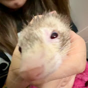 Profile Picture of Craig Licklider (@craiglicklider1460) on Youtube