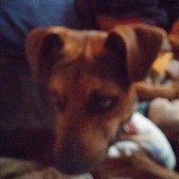 Profile Picture of Jeremy Hinton (@jeremy-hinton-1) on Quora