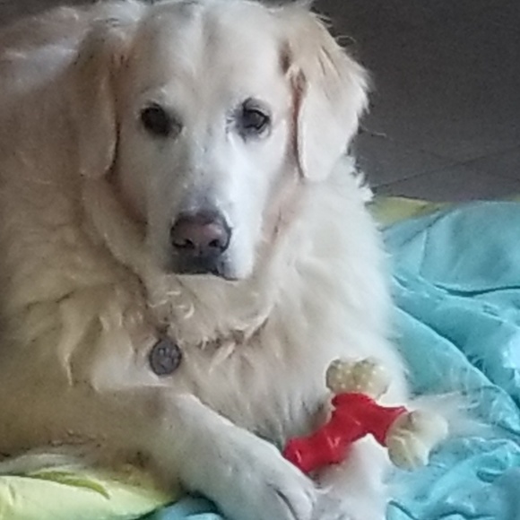 Deanna Knapczyk - Poshmark Profile Picture of Deanna Knapczyk (@rdknap83) on Poshmark