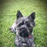 Profile Picture of Kevin patchett (@kevin_patchett) on Instagram