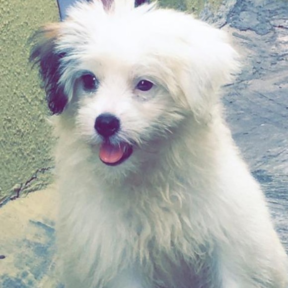 Profile Picture of Lucas Dave (@markluza) on Poshmark