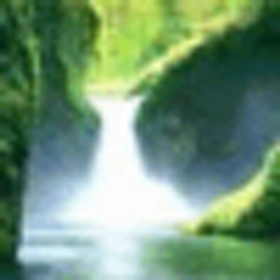 Profile Picture of Hadden Whitley (@im2d) on Twitter