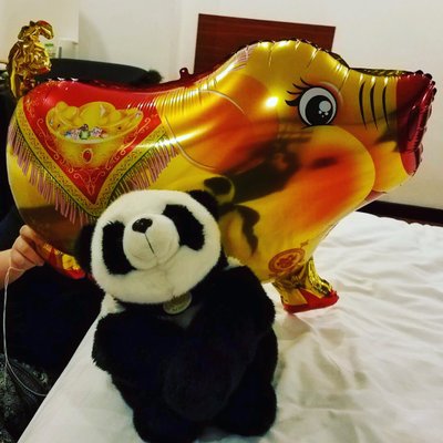 Profile Picture of April Andrews (@Interiorwinter) on Twitter