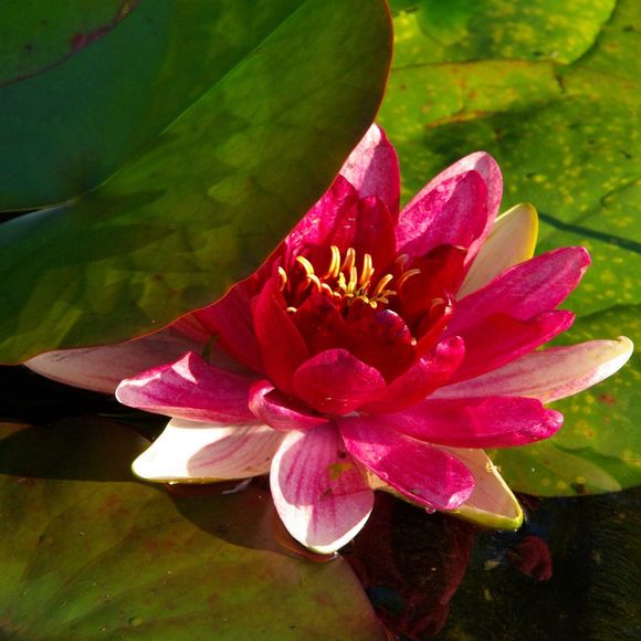 Patricia Von westerholt - Poshmark Profile Picture of Patricia Von westerholt (@patrici_wieland) on Poshmark