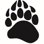 Profile Picture of St. Francis Browns Football (@st.francisbrowns) on Instagram