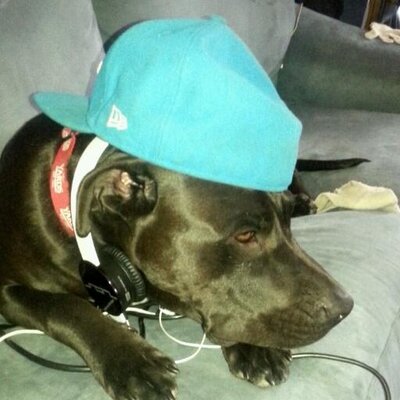 Profile Picture of The Brian Goeringer (@TheBrianGoering) on Twitter