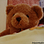 Profile Picture of Lidya Patrichia (@lidyapatrichia) on Flickr