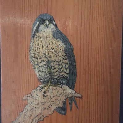 Profile Picture of Steve Heeley (@steve_heeley) on Twitter