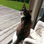 Profile Picture of Jesse Stacey (@jessefstacey) on Instagram