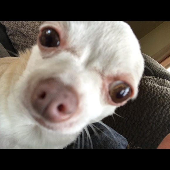 Profile Picture of Kari Mccoin (@poekn01) on Poshmark