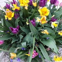 Profile Picture of Janet Schock (@janet-schock) on Quora