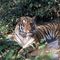 Profile Picture of Mary Hinds (@mary.hinds.1000) on Facebook