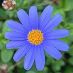 Profile Picture of DGT (@david_tamargo) on Instagram