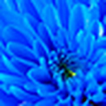 Profile Picture of Manu4971 (@manu4971) on Flickr