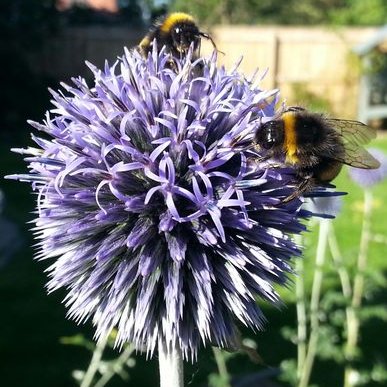 Profile Picture of Paula Mulvenna (@Paulamulvenna) on Twitter