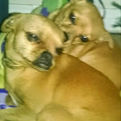 Profile Picture of Christine Apodaca (@crobnkris) on Youtube