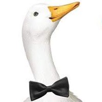 Profile Picture of Steven Dilks (@steven-dilks-2) on Quora