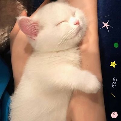 Chris 🌙tine - Twitter Profile Picture of Chris 🌙tine (@kersten_tin) on Twitter