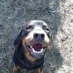 Jonathan Strasser - Instagram Profile Picture of Jonathan Strasser (@highest.demension) on Instagram