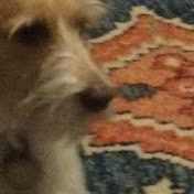 Profile Picture of Chris McKeon (@chrismckeon2575) on Youtube