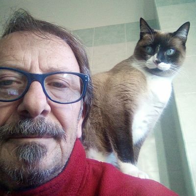 Profile Picture of Giuseppe Palmieri (@Giusepp69379823) on Twitter
