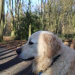 Profile Picture of Stephanie Wright (@stephanieannesphotography) on Instagram