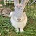 Profile Picture of Thumper Howard (@thumper.howard.92) on Facebook