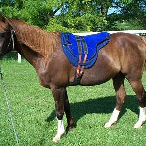 Profile Picture of Pearl Dunlap (@pearl.dunlap.98) on Facebook