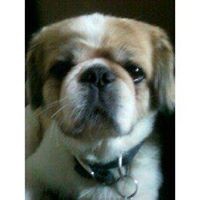 Profile Picture of Lawrence Glover (@lawrence-glover-1) on Quora
