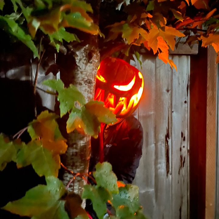 Profile Picture of Nick Mueller (@@nickmueller4) on Tiktok