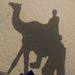 Profile Picture of Lawrence Law (@luffydmon) on Pinterest