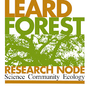 Profile Photo of Leard Forest Research Node (@leardforestresearchnode2489) on Youtube