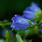 Profile Picture of Benjamin L Kennard (@janitorbob10) on Instagram