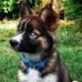 Profile Picture of Shirley Rector (@shirley.rector.334) on Facebook